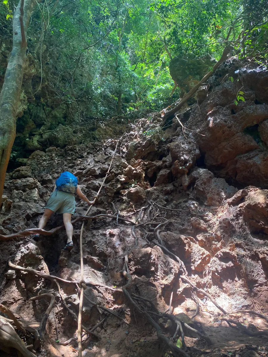 Railay Beach Lagoon trailhead. A almost vertical rock wall with ropes to help climbers up